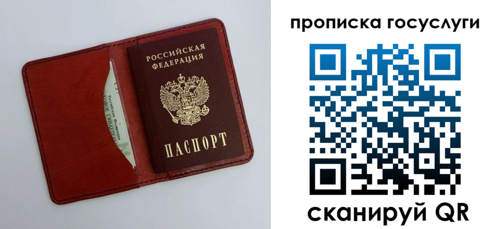 прописка паспорт в Камышине
